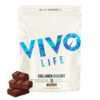 Vivo Life rastlinski kolagen gradniki, okus čokolada - prehransko dopolnilo, 950 g