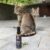 love pets-superfood kapljice za mačke-tigrasta Superfood kapljice za mačke - Love Pets, 30 ml