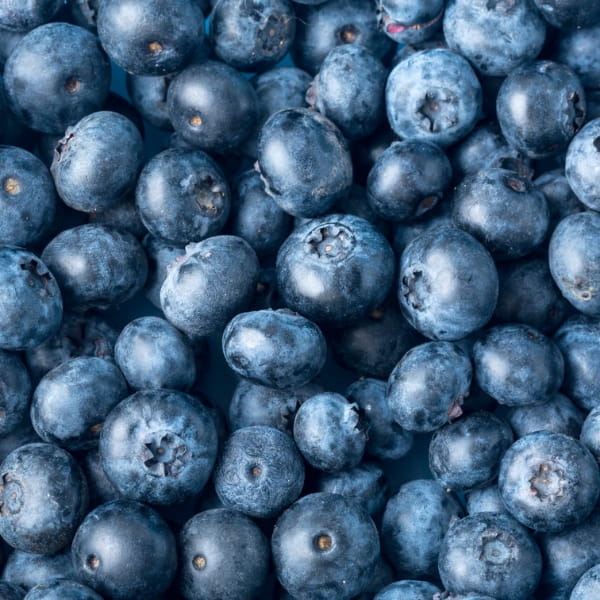 Kai-sea-moss-gel-borovnica-vanilija Kai Sea moss gel - Irski mah, borovnica z vanilijo, 300 ml