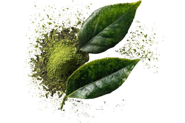 Izvlecek zelenega caja