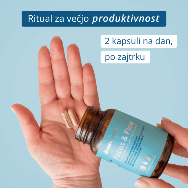 NatureVibe Focus Flow produktivnost