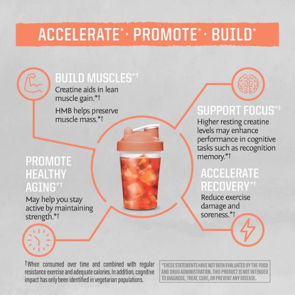 Sunwarrior Active HMB + kreatin, 240 g (prehransko dopolnilo)