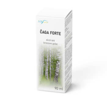 caga ekstrakt brezove gobe